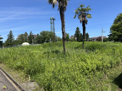 上越売買不動産　上越市大手町売地